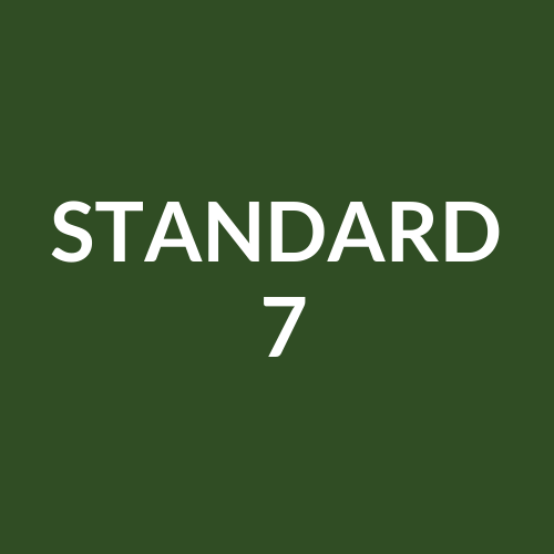 STANDARD 7